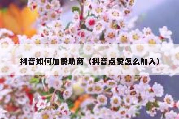 抖音如何加赞助商（抖音点赞怎么加入） 第1张