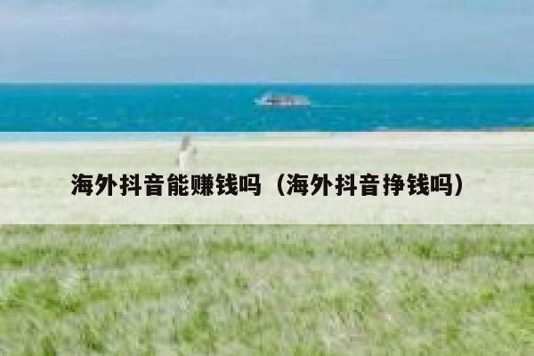 海外抖音能赚钱吗（海外抖音挣钱吗） 第1张