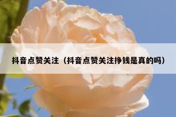 抖音点赞关注（抖音点赞关注挣钱是真的吗） 第1张