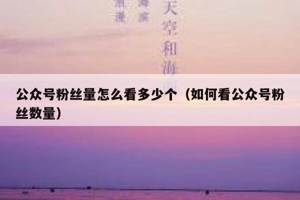 公众号粉丝量怎么看多少个（如何看公众号粉丝数量） 第1张
