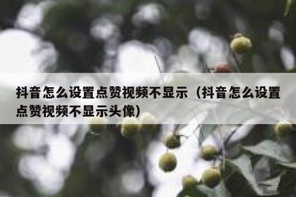 抖音怎么设置点赞视频不显示（抖音怎么设置点赞视频不显示头像） 第1张