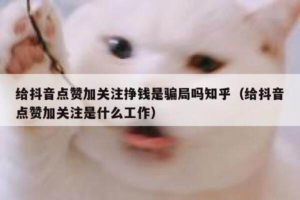 给抖音点赞加关注挣钱是骗局吗知乎(给抖音点赞加关注是什么工作) 第1张 给抖音点赞加关注挣钱是骗局吗知乎(给抖音点赞加关注是什么工作) 第1张