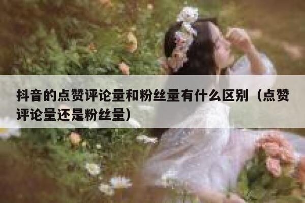抖音的点赞评论量和粉丝量有什么区别（点赞评论量还是粉丝量） 第1张