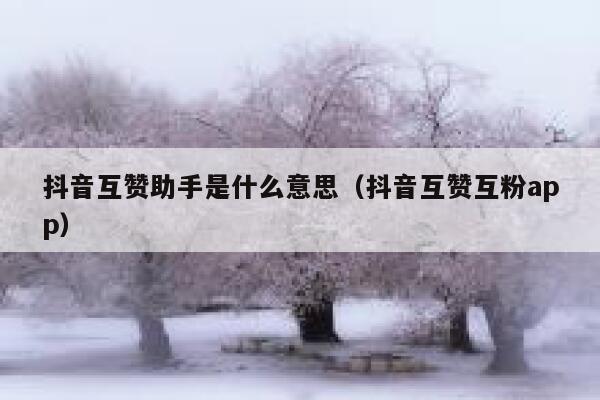 抖音互赞助手是什么意思（抖音互赞互粉app） 第1张