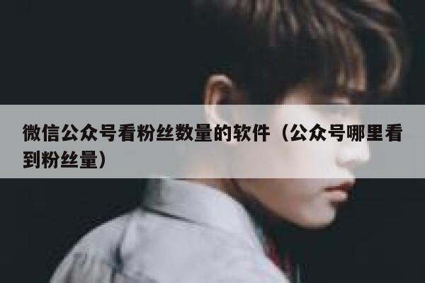 微信公众号看粉丝数量的软件（公众号哪里看到粉丝量） 第1张