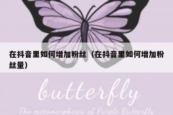 在抖音里如何增加粉丝（在抖音里如何增加粉丝量） 第1张