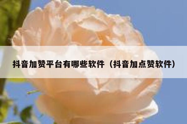 抖音加赞平台有哪些软件（抖音加点赞软件） 第1张