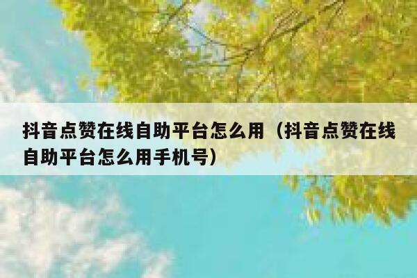 抖音点赞在线自助平台怎么用(抖音点赞在线自助平台怎么用手机号) 第1张 抖音点赞在线自助平台怎么用(抖音点赞在线自助平台怎么用手机号) 第1张