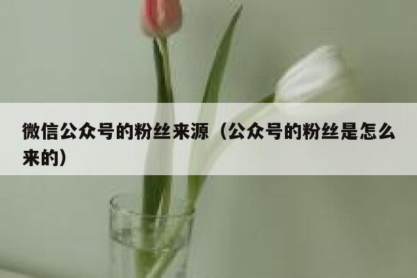 微信公众号的粉丝来源（公众号的粉丝是怎么来的） 第1张