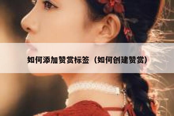 如何添加赞赏标签（如何创建赞赏） 第1张