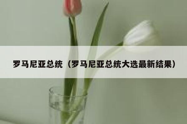 罗马尼亚总统（罗马尼亚总统大选最新结果） 第1张