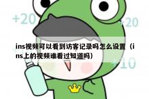 ins视频可以看到访客记录吗怎么设置（ins上的视频谁看过知道吗） 第1张