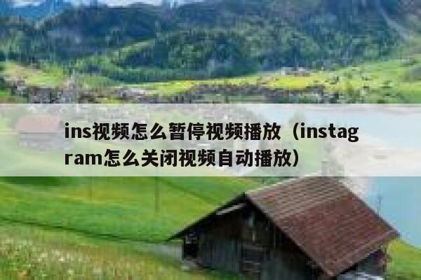 ins视频怎么暂停视频播放（instagram怎么关闭视频自动播放） 第1张