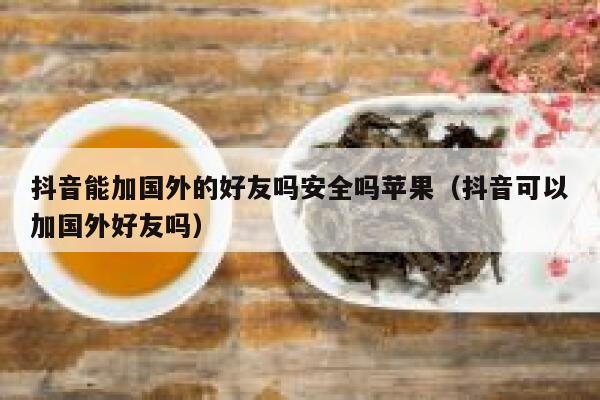 抖音能加国外的好友吗安全吗苹果（抖音可以加国外好友吗） 第1张