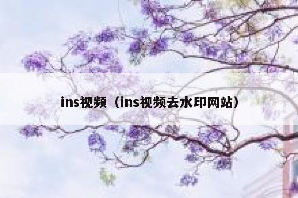 ins视频（ins视频去水印网站） 第1张