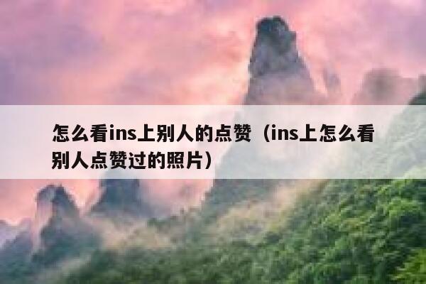 怎么看ins上别人的点赞（ins上怎么看别人点赞过的照片） 第1张