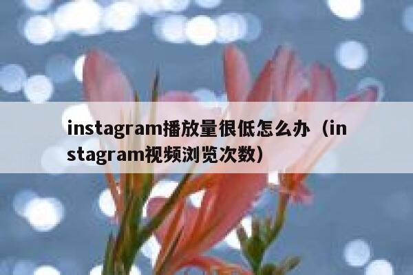 instagram播放量很低怎么办（instagram视频浏览次数） 第1张