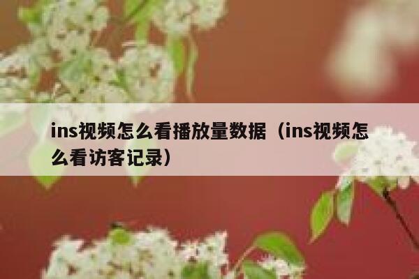 ins视频怎么看播放量数据（ins视频怎么看访客记录） 第1张
