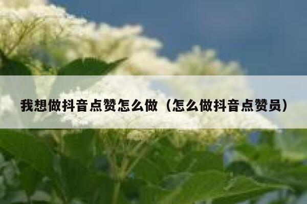 我想做抖音点赞怎么做（怎么做抖音点赞员） 第1张