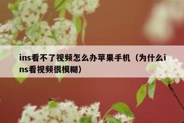 ins看不了视频怎么办苹果手机（为什么ins看视频很模糊） 第1张