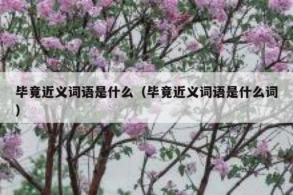 毕竟近义词语是什么（毕竟近义词语是什么词） 第1张