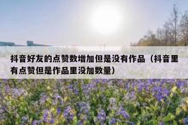 抖音好友的点赞数增加但是没有作品（抖音里有点赞但是作品里没加数量） 第1张