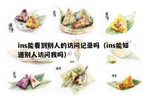 ins能看到别人的访问记录吗（ins能知道别人访问我吗） 第1张