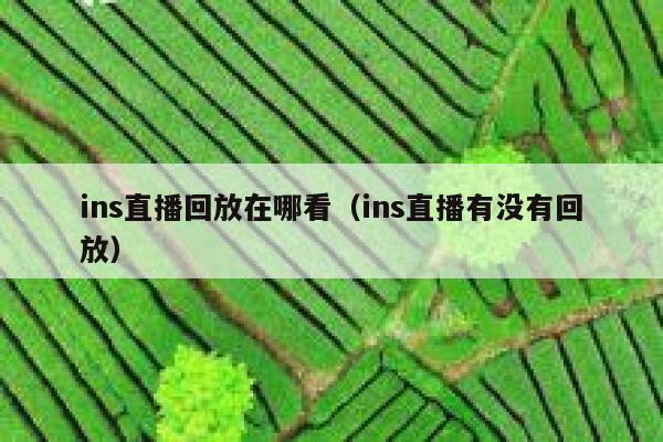 ins直播回放在哪看（ins直播有没有回放） 第1张