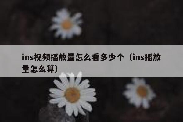 ins视频播放量怎么看多少个（ins播放量怎么算） 第1张