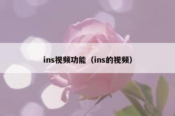 ins视频功能（ins的视频） 第1张
