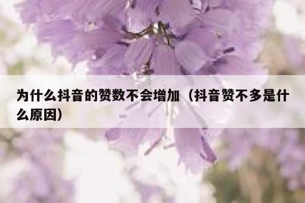 为什么抖音的赞数不会增加（抖音赞不多是什么原因） 第1张