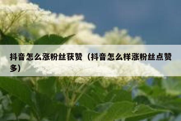 抖音怎么涨粉丝获赞（抖音怎么样涨粉丝点赞多） 第1张