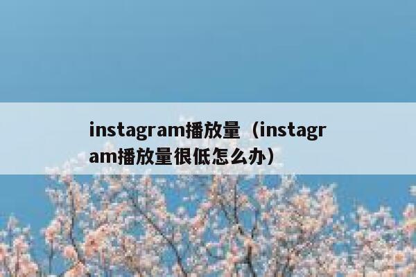 instagram播放量（instagram播放量很低怎么办） 第1张