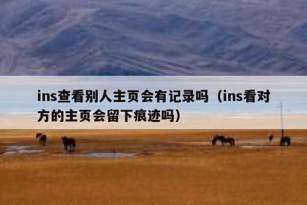 ins查看别人主页会有记录吗（ins看对方的主页会留下痕迹吗） 第1张