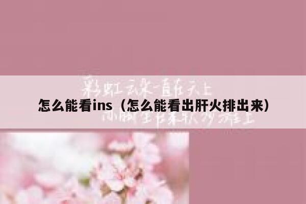 怎么能看ins(怎么能看出肝火排出来) 第1张 怎么能看ins(怎么能看出肝火排出来) 第1张