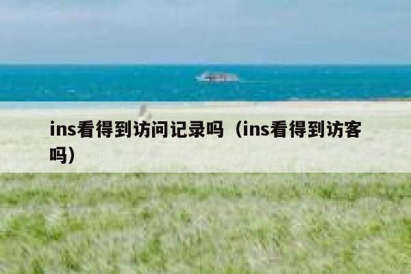 ins看得到访问记录吗（ins看得到访客吗） 第1张
