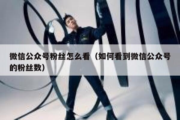 微信公众号粉丝怎么看（如何看到微信公众号的粉丝数） 第1张