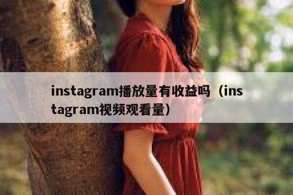 instagram播放量有收益吗（instagram视频观看量） 第1张