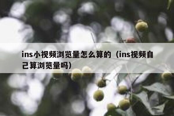ins小视频浏览量怎么算的（ins视频自己算浏览量吗） 第1张