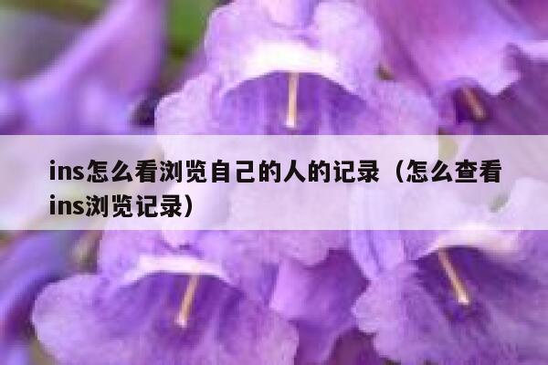 ins怎么看浏览自己的人的记录（怎么查看ins浏览记录） 第1张