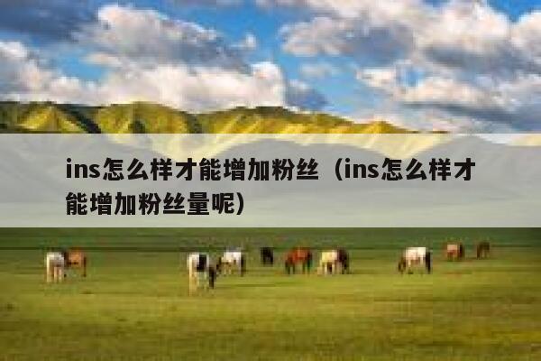 ins怎么样才能增加粉丝（ins怎么样才能增加粉丝量呢） 第1张
