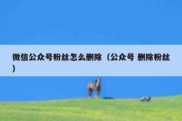 微信公众号粉丝怎么删除（公众号 删除粉丝） 第1张
