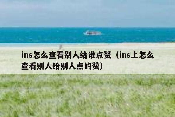 ins怎么查看别人给谁点赞（ins上怎么查看别人给别人点的赞） 第1张