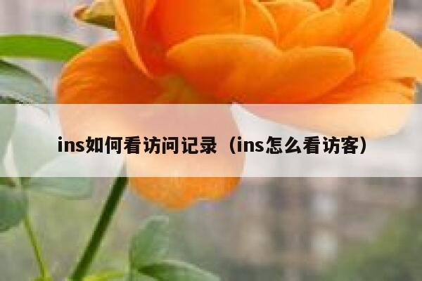 ins如何看访问记录（ins怎么看访客） 第1张