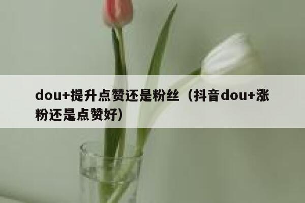 dou+提升点赞还是粉丝（抖音dou+涨粉还是点赞好） 第1张