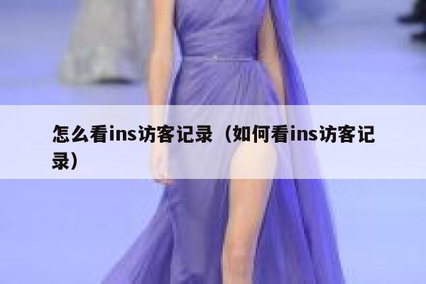 怎么看ins访客记录（如何看ins访客记录） 第1张
