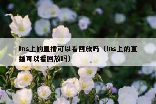 ins上的直播可以看回放吗（ins上的直播可以看回放吗） 第1张