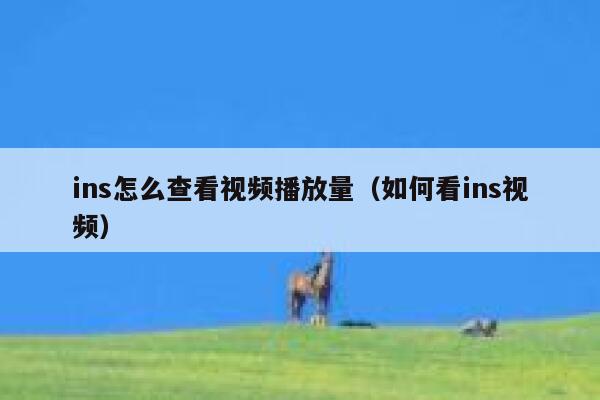 ins怎么查看视频播放量（如何看ins视频） 第1张