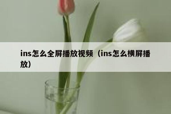 ins怎么全屏播放视频（ins怎么横屏播放） 第1张
