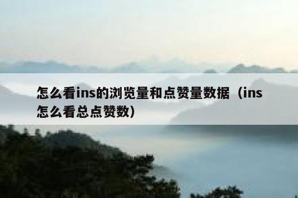 怎么看ins的浏览量和点赞量数据（ins怎么看总点赞数） 第1张